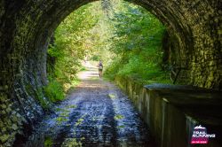 2024-08-24 KTRE 2024 -113534-DSC_4117